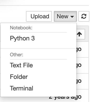 Jupyter Run Terminal