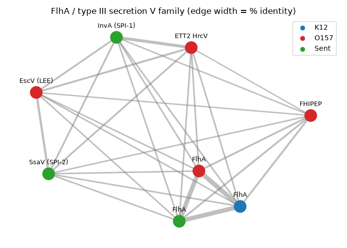 FlhA / type III secretion family