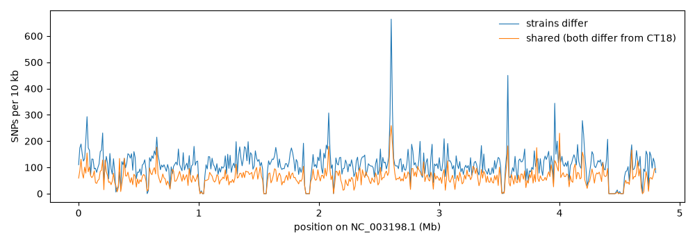 SNP density along the Salmonella chromosome