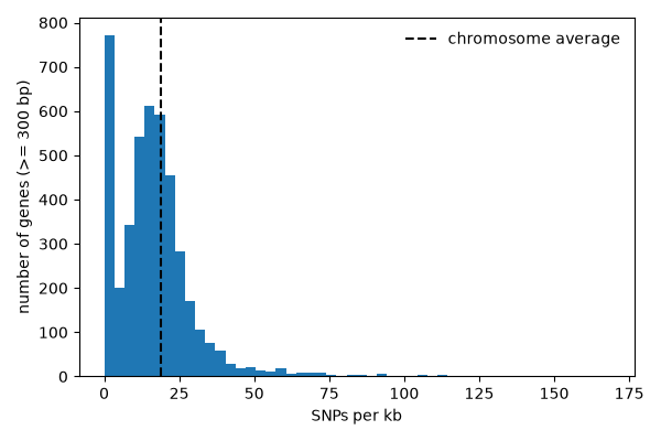 Histogram of SNPs per kb per gene