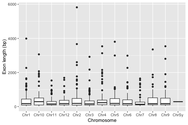 Boxplot of rice exon lengths per chromosome