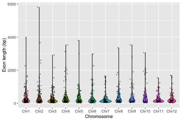 Violin plot of rice exon lengths per chromosome with jittered points