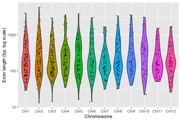 Violin plot of rice exon lengths on a log10 y axis