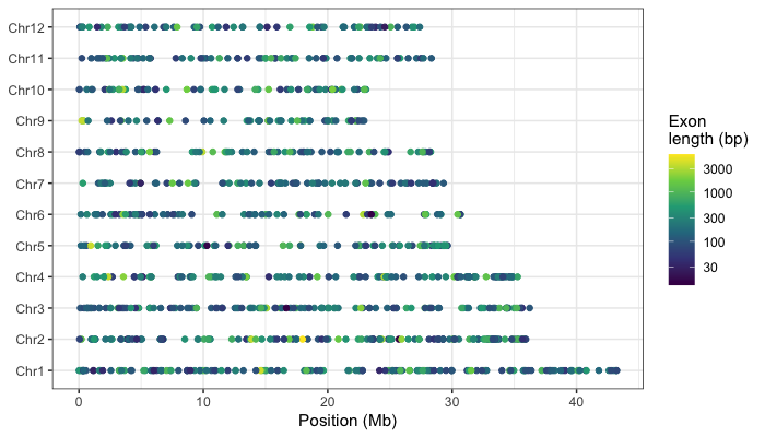 Exon positions along rice chromosomes colored by length with viridis