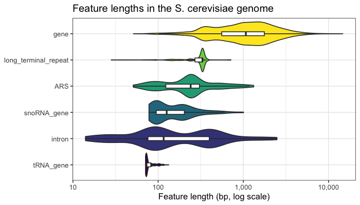 Violin plots of yeast feature lengths by feature type on a log scale