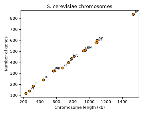 Scatter plot of yeast chromosome length vs number of genes