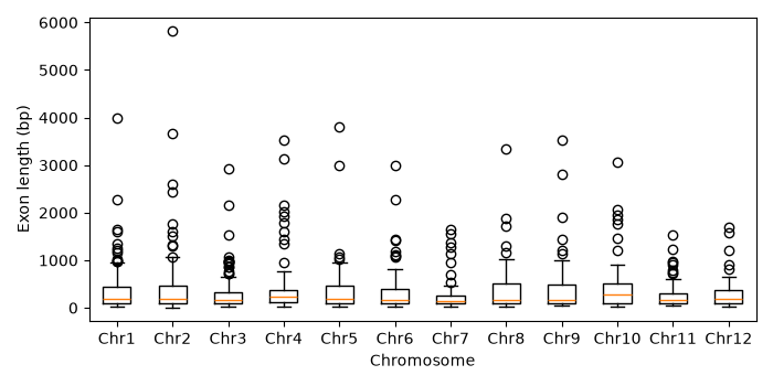 Box plot of rice exon length by chromosome