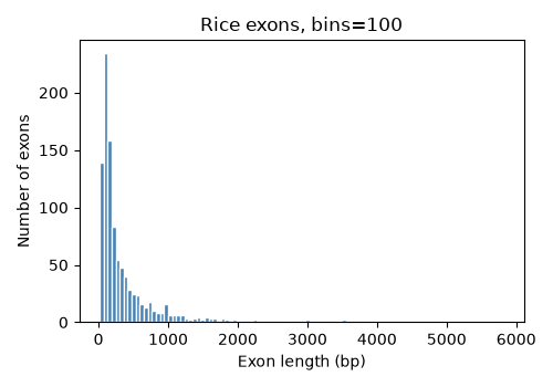 Histogram of rice exon lengths with 100 bins