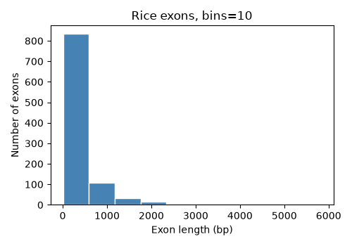 Histogram of rice exon lengths with 10 bins