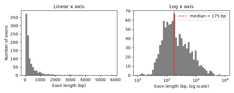 Histogram of rice exon lengths on linear and log x axes