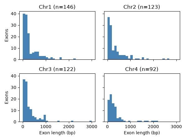 Four histograms of rice exon length with shared axes