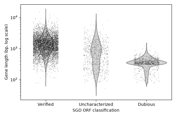 Violin and strip plot of yeast gene length by ORF classification
